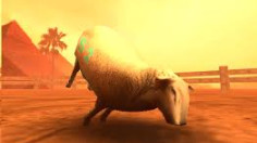 Crazy Cattle 3D